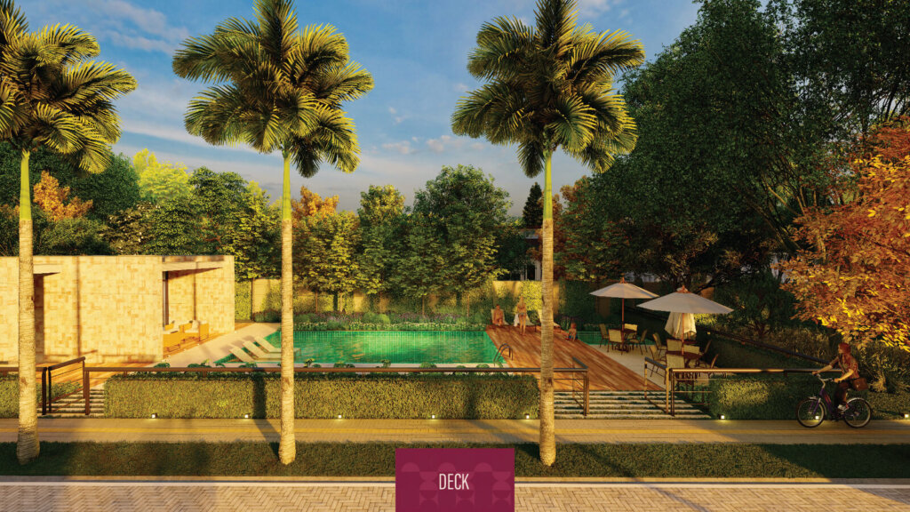 Deck